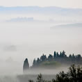 paesaggio con nebbia peccioli